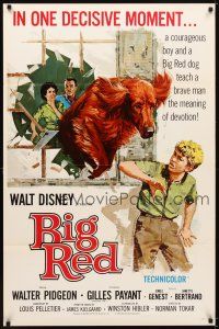 6g109 BIG RED 1sh '62 Disney, Walter Pigeon, artwork of Irish Setter dog jumping through window!
