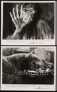 6f574 COMPANY OF WOLVES 4 8x10 stills '85 Neil Jordan directed, best gruesome werewolf images!