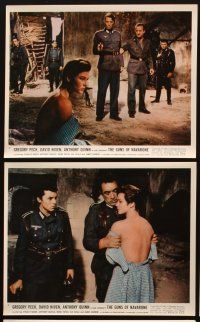 6f104 GUNS OF NAVARONE 9 color 8x10 stills '61 Gregory Peck, Anthony Quinn, WWII classic!