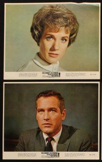 6f099 TORN CURTAIN 12 color 8x10 stills '66 Paul Newman, Julie Andrews, Alfred Hitchcock