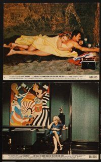 6f109 ARRANGEMENT 8 8x10 mini LCs '69 Kirk Douglas & Faye Dunaway, from director Elia Kazan novel!