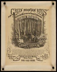 6j320 GREEN MOUNTAIN BALM OF GILEAD & CEDAR PLASTER 16x20 advertising poster 1868 the best ever!