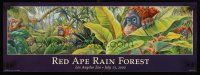 6j308 RED APE RAIN FOREST zoo exhibit '00 wonderful artwork, original opening day poster!