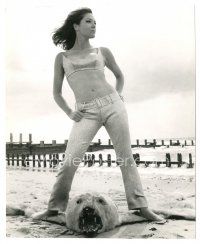 6m107 AVENGERS TV 7.5x9.25 still '66 sexy Diana Rigg by Terry O'Neill from Jean Varon Collection!