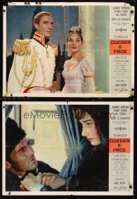 6y436 WAR & PEACE set of 16 Italian photobustas '56 Audrey Hepburn, Henry Fonda & Mel Ferrer!