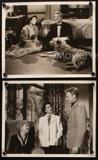 6z869 BIG HANGOVER 3 8x10 stills '50 Elizabeth Taylor, Van Johnson, Fay Holden & cute dog!