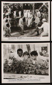 6z627 FINIAN'S RAINBOW 7 8x10 stills '68 great stills of Fred Astaire & Petula Clark!