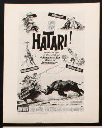 6z366 HATARI 13 8x10 stills '62 Howard Hawks, John Wayne & Elsa Martinelli in Africa!