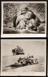 6z574 PLAY DIRTY 8 8x10 stills '69 Michael Caine, Nigel Davenport, English World War II images!