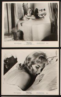 6z589 SOMETHING WILD 8 8x10 stills '62 all close up images of sexy Carroll Baker!