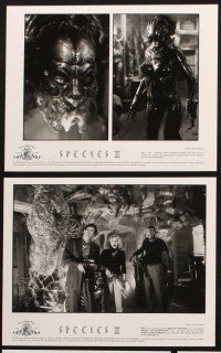 6z593 SPECIES II 8 8x10 stills '98 sexiest alien Natasha Henstridge, Michael Madsen!