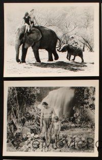 6z795 TARZAN FINDS A SON 5 TV 8x10 stills R60s great images of Johnny Weissmuller & Sheffield!