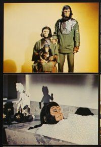 6z074 ESCAPE FROM THE PLANET OF THE APES 8 color 7.5x10 stills '71 Kim Hunter, Roddy McDowall!