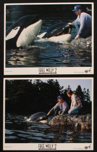 6z082 FREE WILLY 2 8 color 8x10 stills '95 The Adventure Home, killer whale sequel!