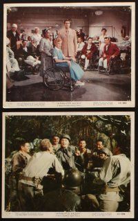 6z213 INTERRUPTED MELODY 6 color 8x10 stills '55 Eleanor Parker as opera singer Melody Lawrence!