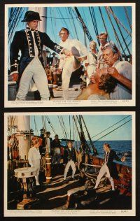 6z217 MUTINY ON THE BOUNTY 6 color 8x10 stills '62 Marlon Brando, Richard Harris, Lewis Milestone
