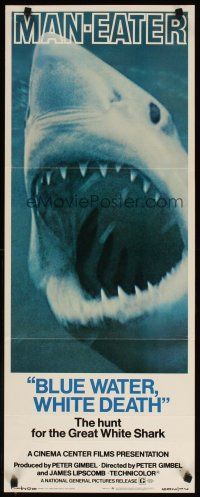 7f114 BLUE WATER, WHITE DEATH insert '71 super close image of great white shark with open mouth!