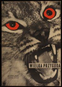 7f318 GREAT ADVENTURE Polish 23x33 '57 Det Stora aventyret, Fangor art of red-eyed cat!