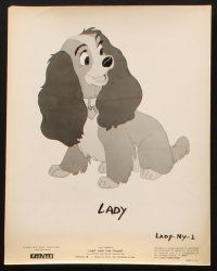 7j053 LADY & THE TRAMP 9 8x10 stills R62 Disney classic, wonderful cartoon dog cast portraits!