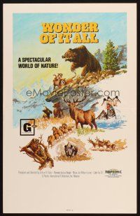 7k441 WONDER OF IT ALL WC '74 grizzly bear vs mountain lion, world of nature!