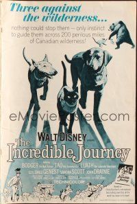 7k065 INCREDIBLE JOURNEY pressbook '63 Disney, Bull Terrier, Siamese cat & Labrador Retriever!