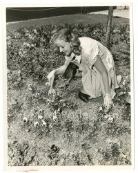 7s155 BONITA GRANVILLE 8x10 still '40 great candid wearing knee pads working in her flower garden!