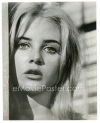 7s858 SUE LYON 7.5x9.5 still '64 super close up of the beautiful blonde from Night of the Iguana!