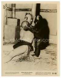 7s873 TARZAN & THE SHE-DEVIL 8x10 still '53 c/u of chimp getting a drink for bound Lex Barker!