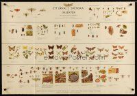7x463 ETT URVAL SVENSKA INSEKTER Swedish special 28x39 '56 cool image of insect collection!