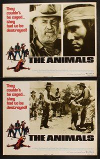 8a039 ANIMALS 8 LCs '70 native American Indian Henry Silva, grizzled Keenan Wynn, Michele Carey!