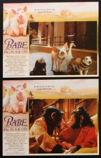 8a047 BABE PIG IN THE CITY 8 LCs '98 George Miller's talking pig, images of animals, bull terrier!