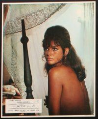 8c204 ROSE FOR EVERYONE 12 German LCs '67 great images, all w/sexy Claudia Cardinale!