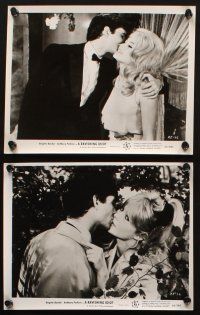 8d537 AGENT 38-24-36 6 8x10 stills '65 sexy Brigitte Bardot, Anthony Perkins, A Ravishing Idiot!