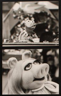 8d305 MUPPET SHOW 38 TV 8x10 stills '76 Jim Henson, Kermit, Piggy, Fozzie, Gonzo, Animal & more!
