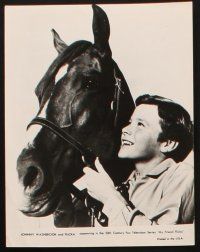 8d363 MY FRIEND FLICKA 11 TV 7.5x9.5 stills '50s great images of Johnny Washbrook & beloved horse!