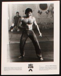8d792 PERFECT WEAPON 4 8x10 stills '91 Jeff Speakman, awesome martial arts fighting images!