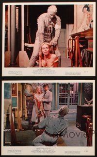 8d270 MUMMY'S SHROUD 4 color 8x10 stills '67 Hammer, Gilling, Andre Morell, great c/u's of monster!