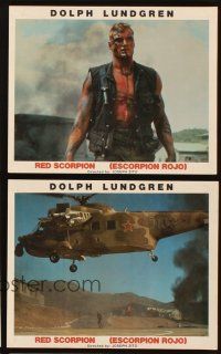 8d178 RED SCORPION 8 Spanish/U.S. color 8x10 stills '89 think they can control Dolph Lundgren!
