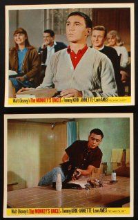 8d139 MONKEY'S UNCLE 8 color English FOH LCs '65 Walt Disney, Annette Funnicello, Tommy Kirk!