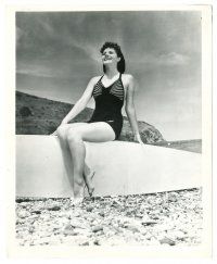 8k622 MARGARET LOCKWOOD 8x10 still '39 sexy English actress in swimsuit sitting on surfboard!
