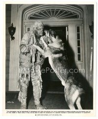 8k693 MUMMY'S TOMB candid 8x10 still R79 Lon Chaney Jr. in monster makeup playing with dog!