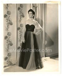 8k810 ROSALIND RUSSELL 8x10 still '40s wonderful portrait in sheer dress by Clarence Sinclair Bull
