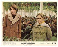 8k019 HAROLD & MAUDE color 8x10 still '71 great close up of Ruth Gordon & Bud Cort, Ashby classic!