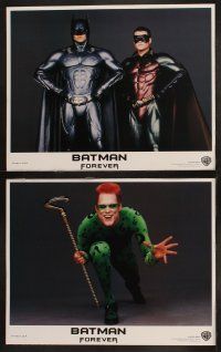 8r029 BATMAN FOREVER 8 LCs '95 Val Kilmer, Chris O'Donnell, Tommy Lee Jones, Jim Carrey, Kidman