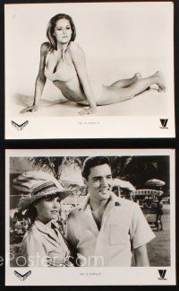 8w334 FUN IN ACAPULCO 5 TV 8x10 stills R83 Elvis Presley & sexy Ursula Andress in fabulous Mexico!