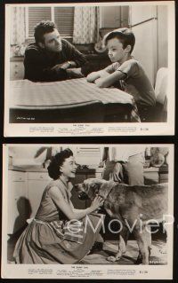 8w405 SILENT CALL 4 8x10 stills '61 Gail Russell, David McLean, Pete, the Dog of Flanders!