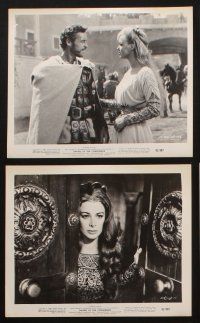 8w129 SWORD OF THE CONQUEROR 10 8x10 stills '62 great images of barbarian Jack Palance, Guy Madison!