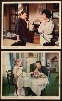 8w912 BUTTERFIELD 8 4 color 8x10 stills '60 sexy callgirl Elizabeth Taylor & Laurence Harvey!