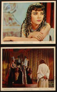 8w936 KING OF KINGS 4 color 8x10 stills '61 Brigid Bazlen as Salome, directed by Nicholas Ray!
