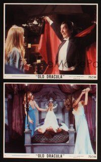 8w718 OLD DRACULA 8 8x10 mini LCs '75 Vampira, David Niven as the Count, Clive Donner, wacky images!